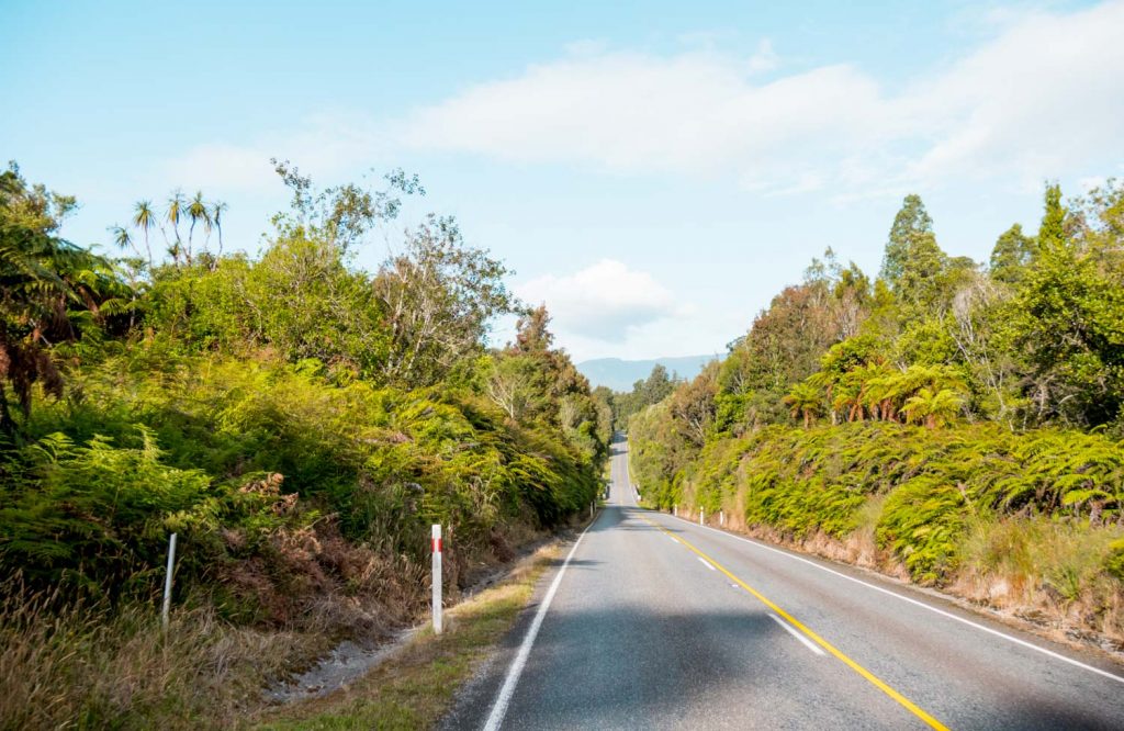 Westküste Neuseeland Roadtrip durch Regenwald