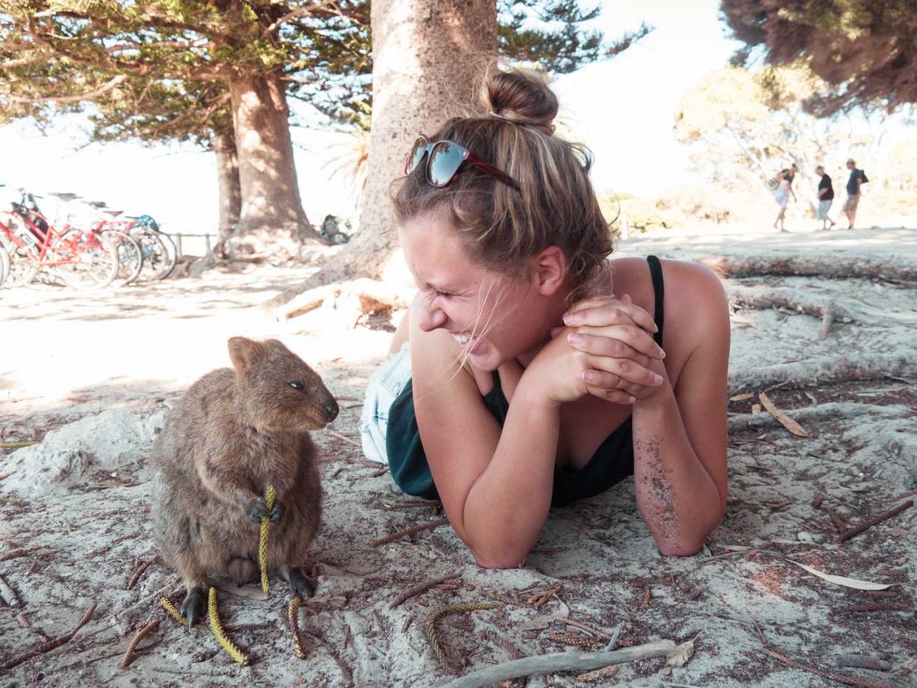 Quokka Selfie auf Rottest Island in Western Australia
