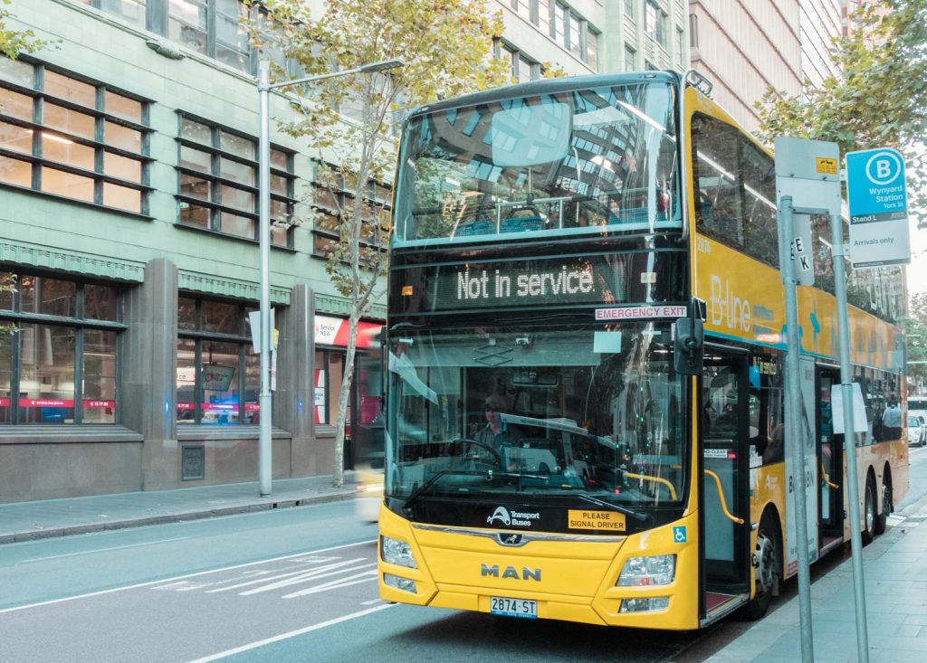 Verkehrsmittel in Sydney - Busse