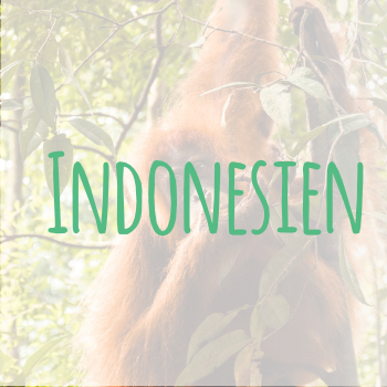 Indonesien Reisetipps