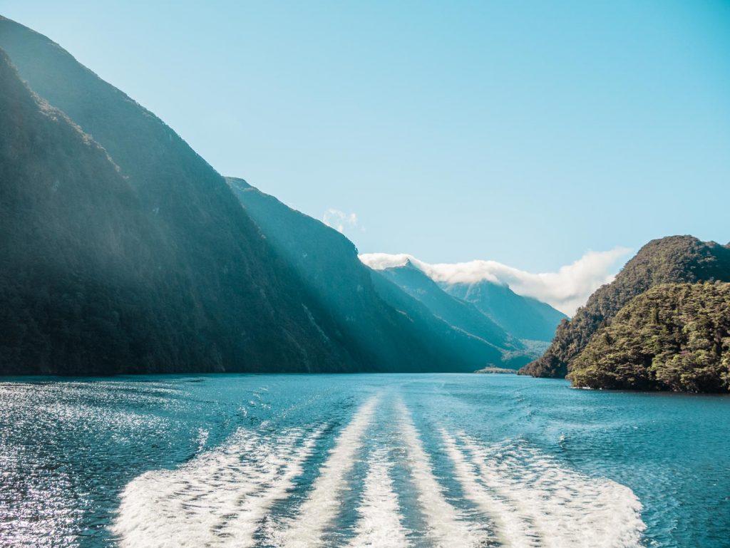 Hauptarm im Doubtful Sound, Neuseeland
