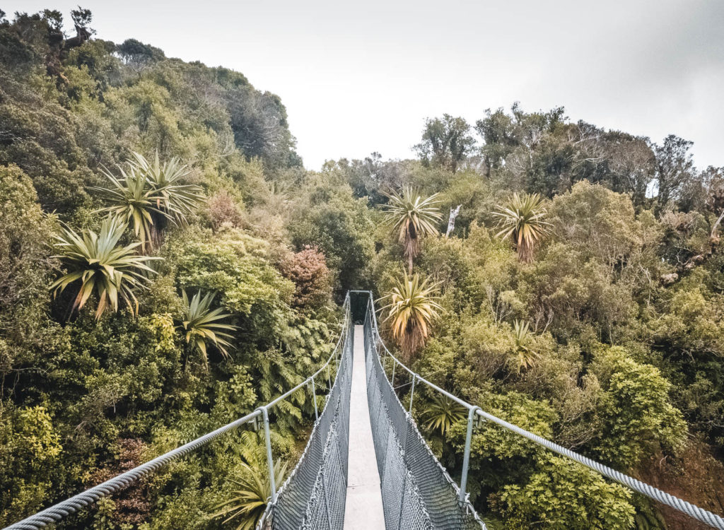 Hängebrücke am Mount Taranaki auf der Nordinsel Neuseelands